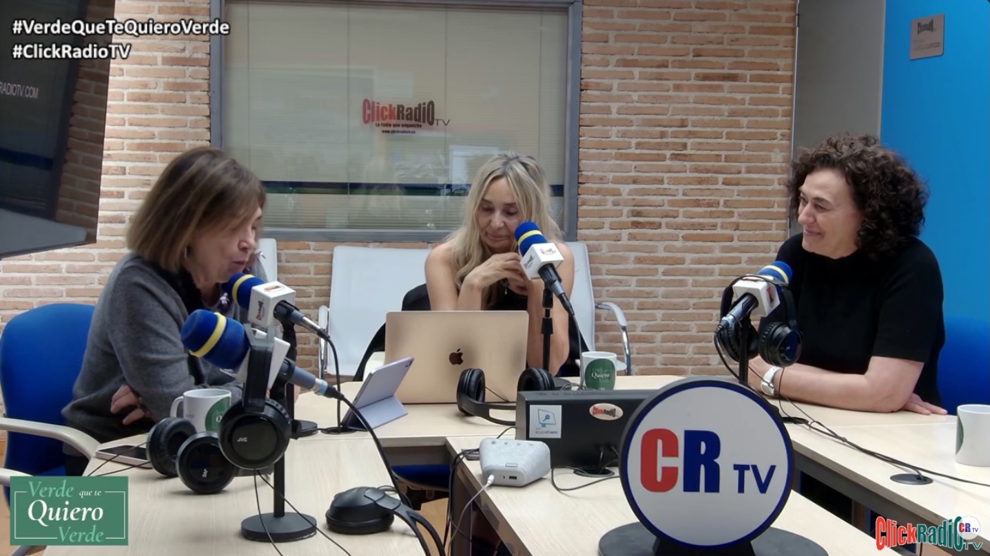 Transformación responsable en las empresas con Ana Fernández